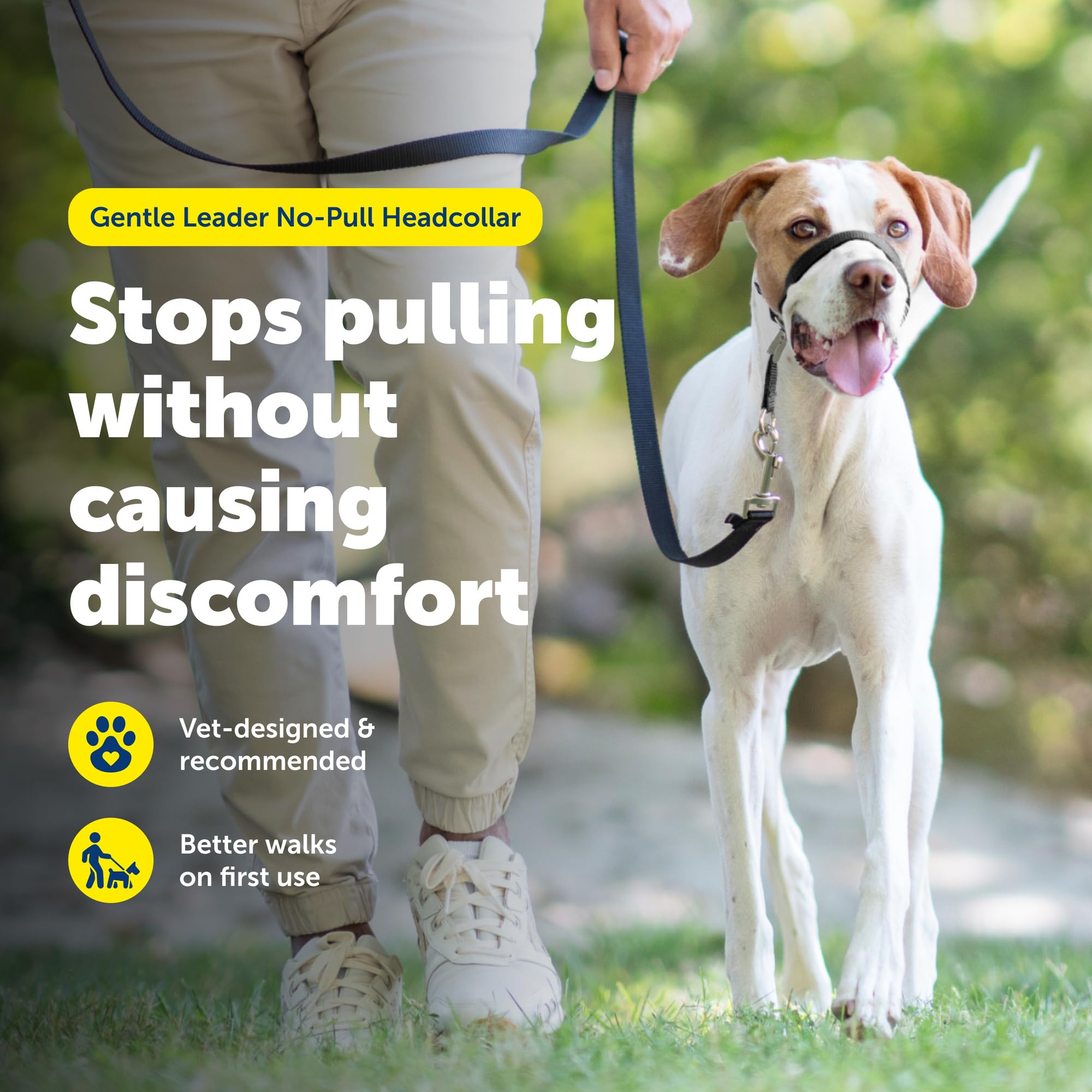Amazon | PetSafe ペットセーフ ジェントルリーダー ヘッドカラー